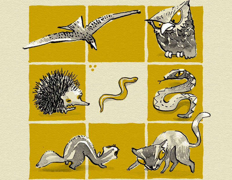 Blindschleiche