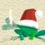 Frosch mit Weihnachtsmütze